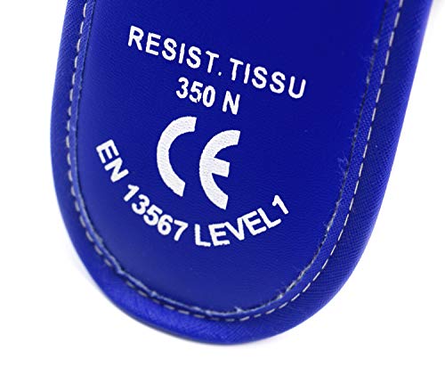 LEONARK Fencing Foil Mask Fencing Helmet CE 350N Certified National Grade Masque - Fencing Protective Gear - color: Blue, size: X-Large