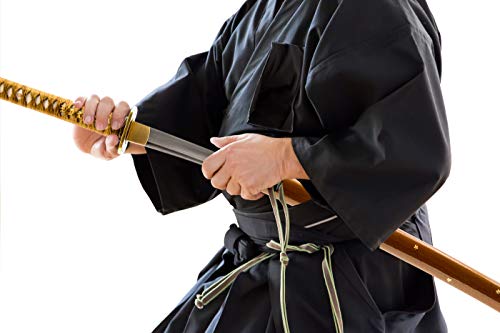 Plum Blossom Samurai Sword, Hand Forged Carbon Steel, Full Tang - color: 1045 Damascus Katana Bo-Hi 971