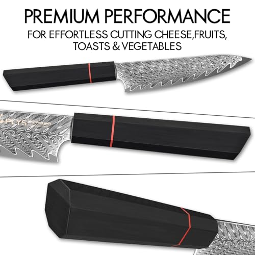 5.5-Inch Japanese Chef Knife - Razor Sharp Damascus Small Kitchen Knife, AUS-10 Steel for Paring Knife with G10 Handle