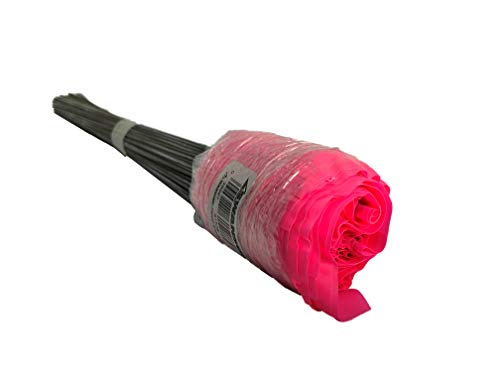 Swanson FPG15100 2-Inch by 3-Inch Marking Flags with 15-Inch Wire Staffs, Pink 100-Pack - color: Pink, size: 100 Pack