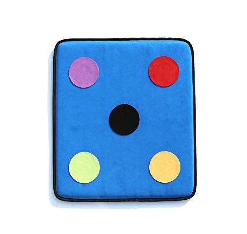 LEONARK Microfiber Fencing Target for Hema Saber Foil and Epee with one/Five Bullseye - Self-Training Auxiliary Sword Target - Home Fencing Equipment for Child and Adult Fencer - color: Blue Pro