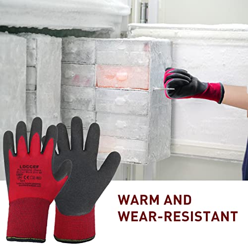 LOCCEF 2 Pairs Winter Work Gloves Men Women, Thermal Freezer Gloves - size: Medium (Pack of 2)
