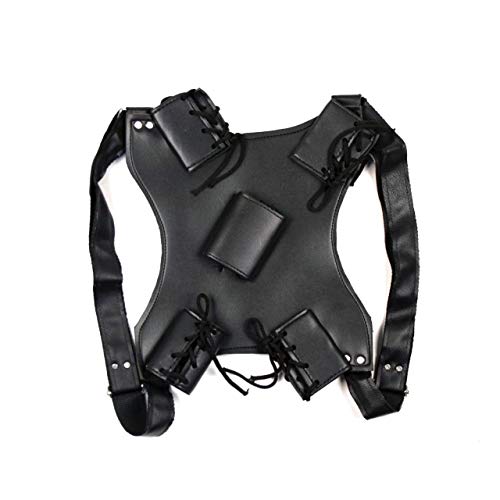 Ace Martial Arts Supply Leonardo Dual Ninja Swords with Back Carrying Scabbard
