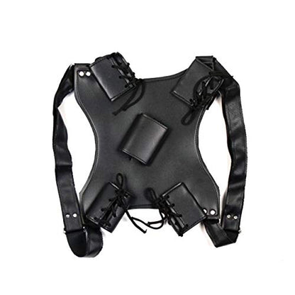 Ace Martial Arts Supply Leonardo Dual Ninja Swords with Back Carrying Scabbard