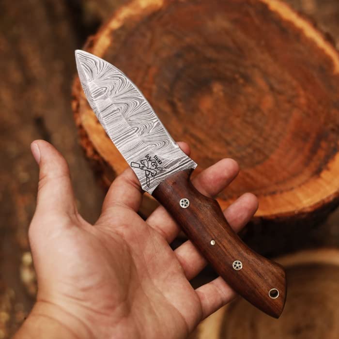 Fixed Blade Damascus Steel Hunting Knife with Leather Sheath, 9'' Full Tang Hunting Skinning Knife,Non-Slip Wooden Handle,Camping Blade (Brown) - color: Brown