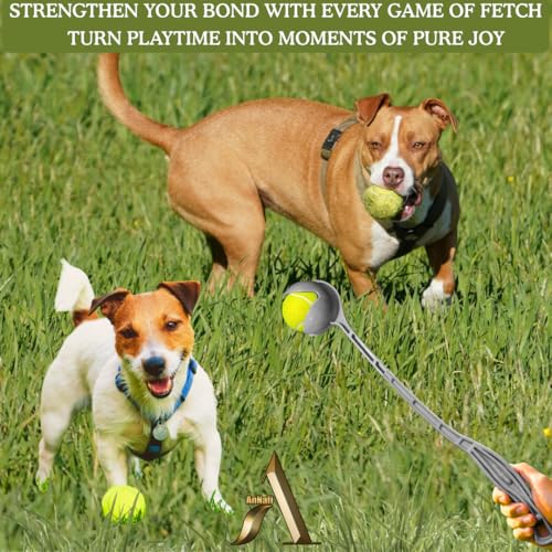AnNafi® Speed Arm Ball Thrower, Cricket Practice Speed Arm Launcher & Ball Pickup, Fetch & Fold Ball Launcher Set, Cricket Practice Equipments (with Tennis Ball, White) - color: White, size: With Tennis Ball