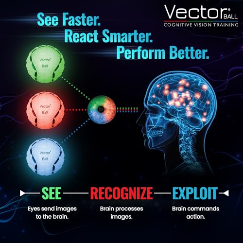 Vector Ball S Impact Color-Changing Neuro-Visual Reaction Ball