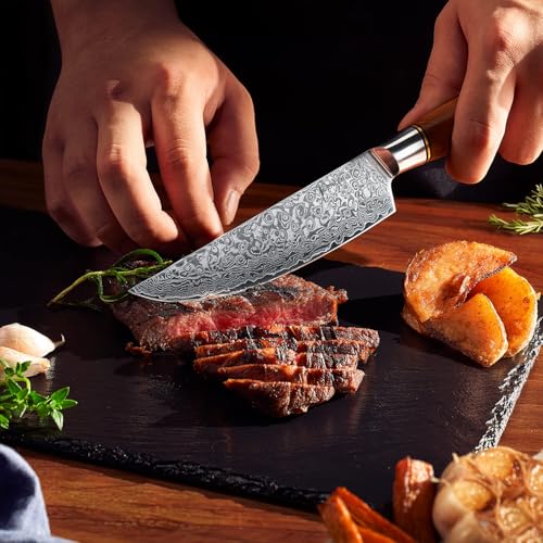 SENKEN 6-Piece Damascus Steel Steak Knife Set - Non-Serrated Steak Knives with Sycamore Wood Handles - The Dynasty Collection - 67-Layer Japanese VG10 Steel (6-Piece Steak Knife Set) - size: 6-Piece Steak Knife Set