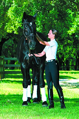 Devon-Aire Women's Versailles Breech - color: Black, size: 26 Regular