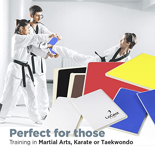 Logest Rebreakable Boards Martial Arts - Taekwondo Karate MMA Boards - Reusable Plastic Training Breaking Boards for Kids & Adults Available in 6 Levels of Difficulty Taekwondo Boards for Breaking - color: Yellow - Light