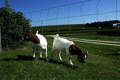 Classic Electric Netting- Electric Fence Protects Sheep, Goats, Gardens, beehives, and More. Electric net Fence Keeps preditors Out. (35" x 82')