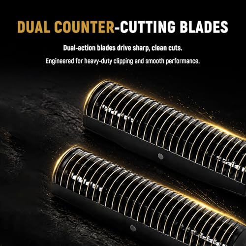FX3RF Foil Head & 2 Cutters Compatible with BaBylissPRO FX3, Black-1 Pack - color: Black-1Pack