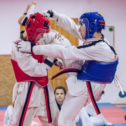 VOSAREA Adult Boxing Faceshield Taekwondo Sports Face Cover Sparring Face Guard Detachable Face (Transparent, 22.5X21X9CM) - size: 22.5X21X9CM (Pack of 2)