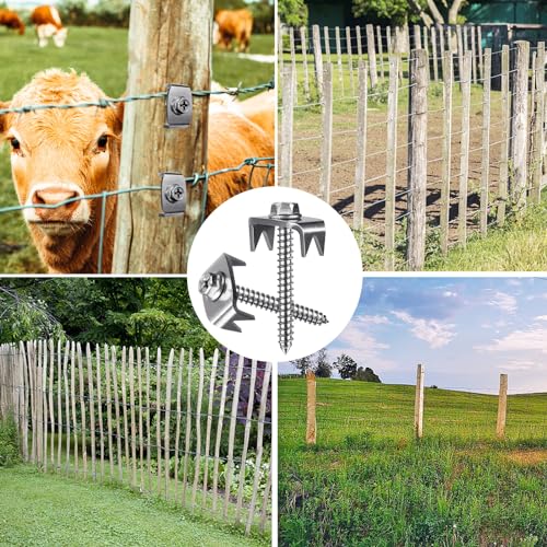 SELEWARE 200 Pcs Stainless Steel Fence Staples Fence Nails for Softwood Reusable Fence Nails for Wire Mesh & Woven Fencing, Fence Fasteners with Wire Fixer, Easy Install & Remove with Power Drill - color: 200 Pcs